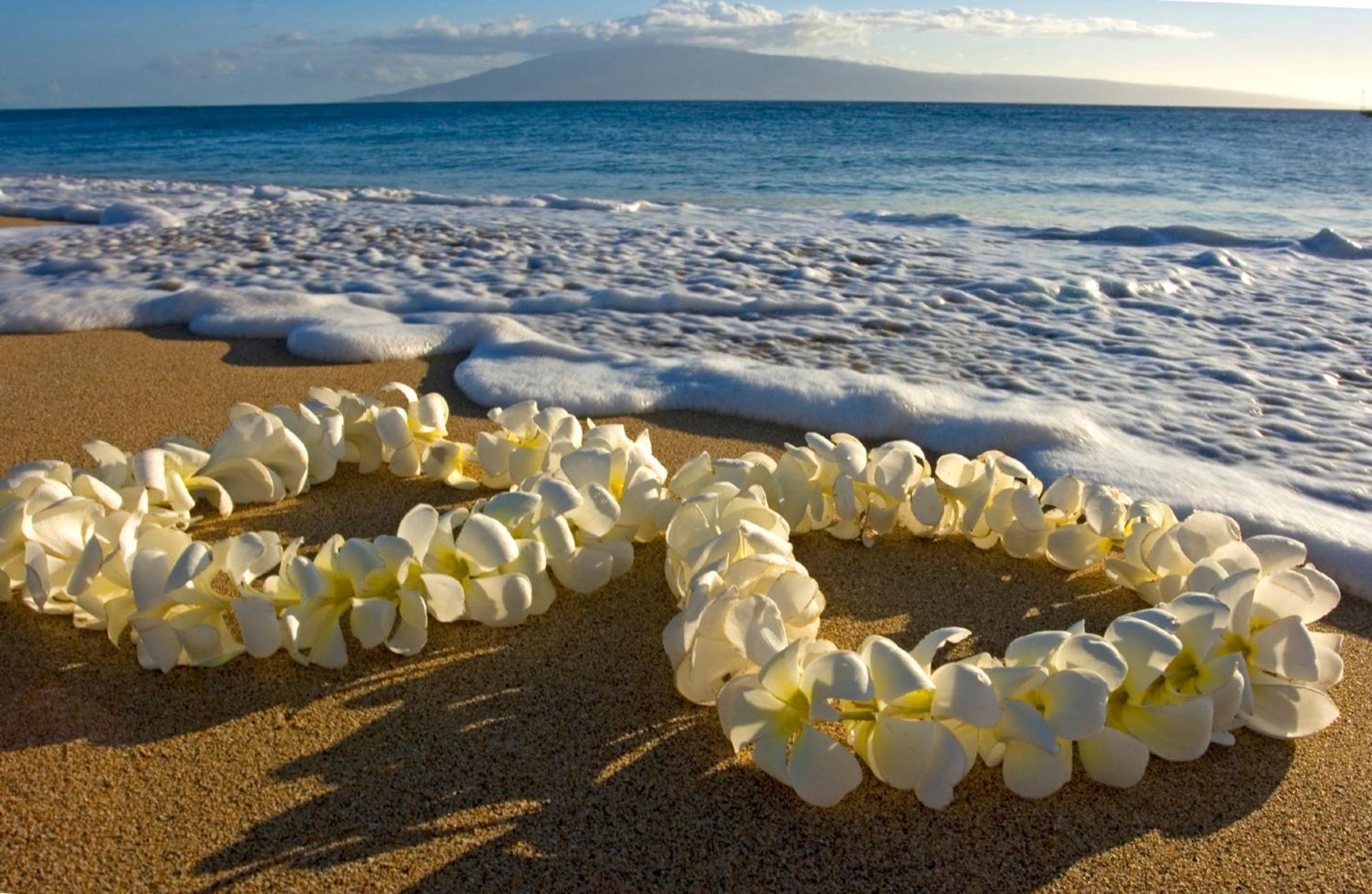 Renovated Ocean View Suite, Near Beach, Free Parking Honolulu Luaran gambar