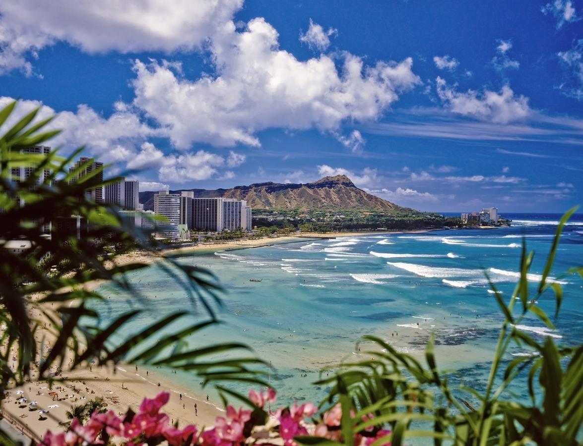 Renovated Ocean View Suite, Near Beach, Free Parking Honolulu Luaran gambar